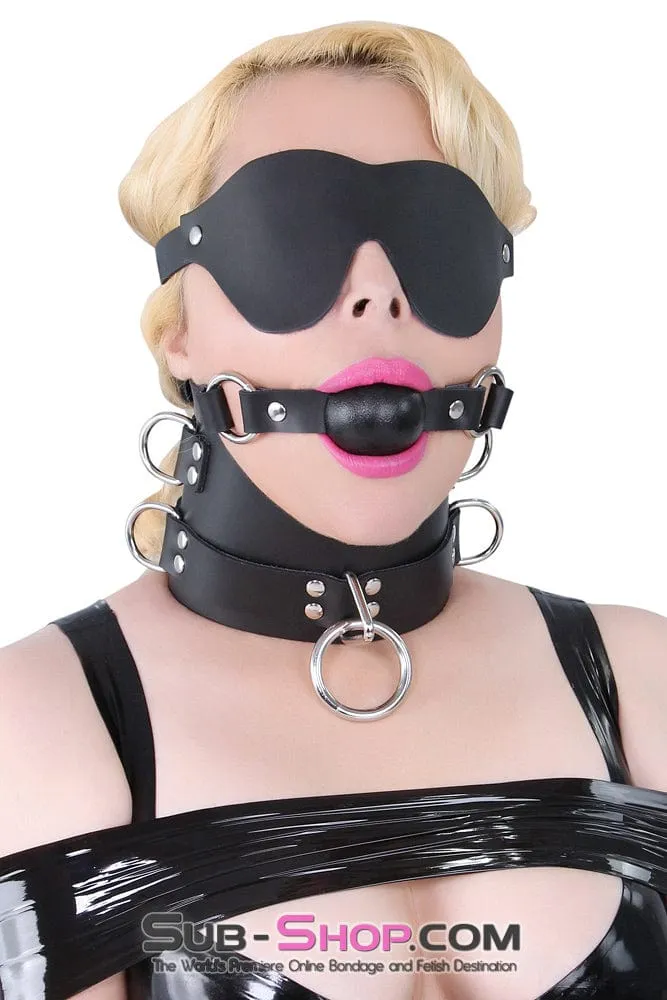 1630A      Total Control 4" Leather Posture Collar