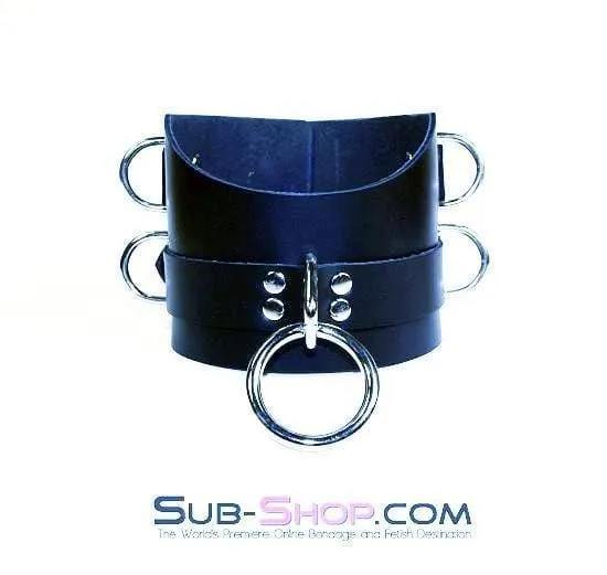 1630A      Total Control 4" Leather Posture Collar