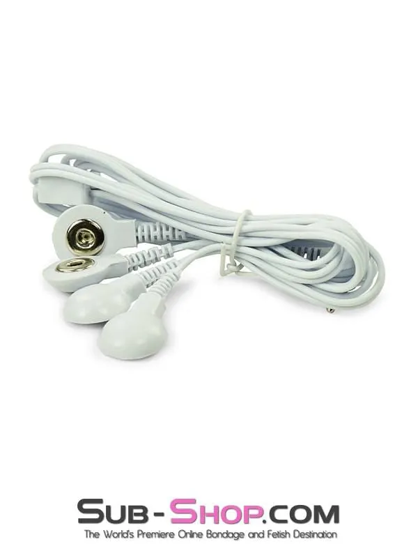 2305M      Electro Sex Power Box Wires, 4 Snap Style Connectors