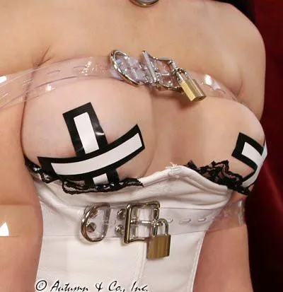 6786A      Clearly Locked Bondage Straps - 4 Sizes!