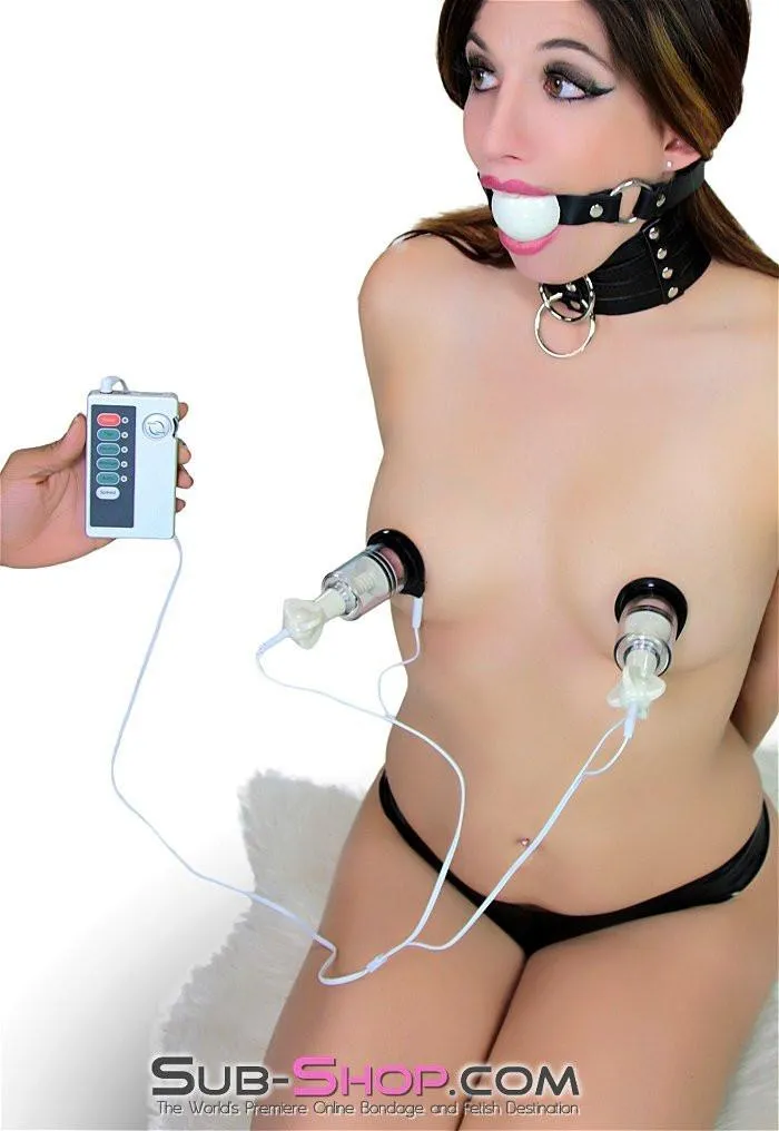 6919R      Sub-Shock Electro-Stimulation Power Box