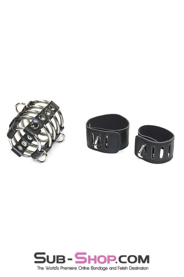 8726HS      Access Denied Locking Chastity Set, Large