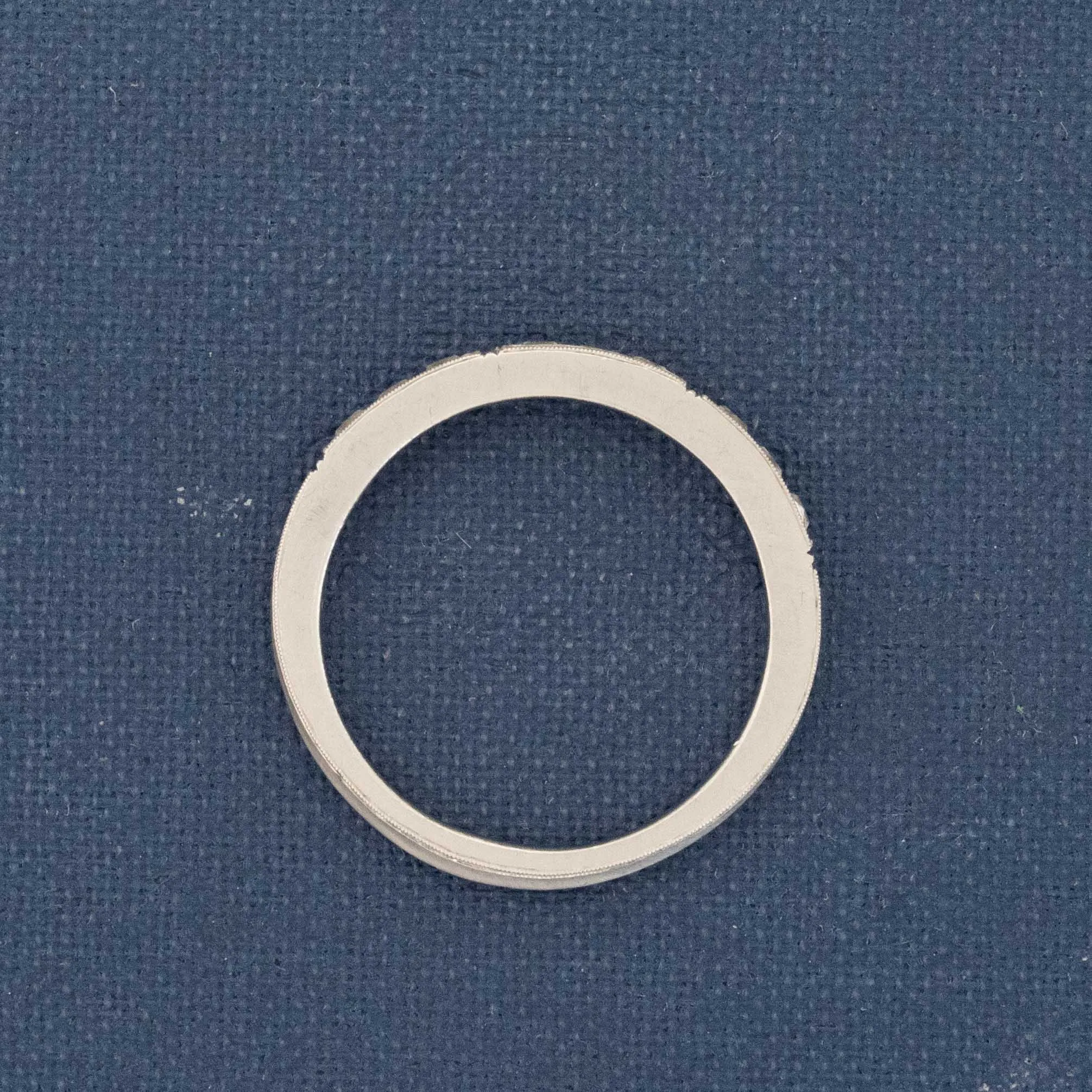 Isabella Platinum Wedding Band Ring by Erika Winters
