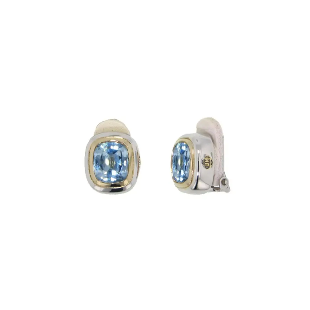Nouveau Clip Earrings
