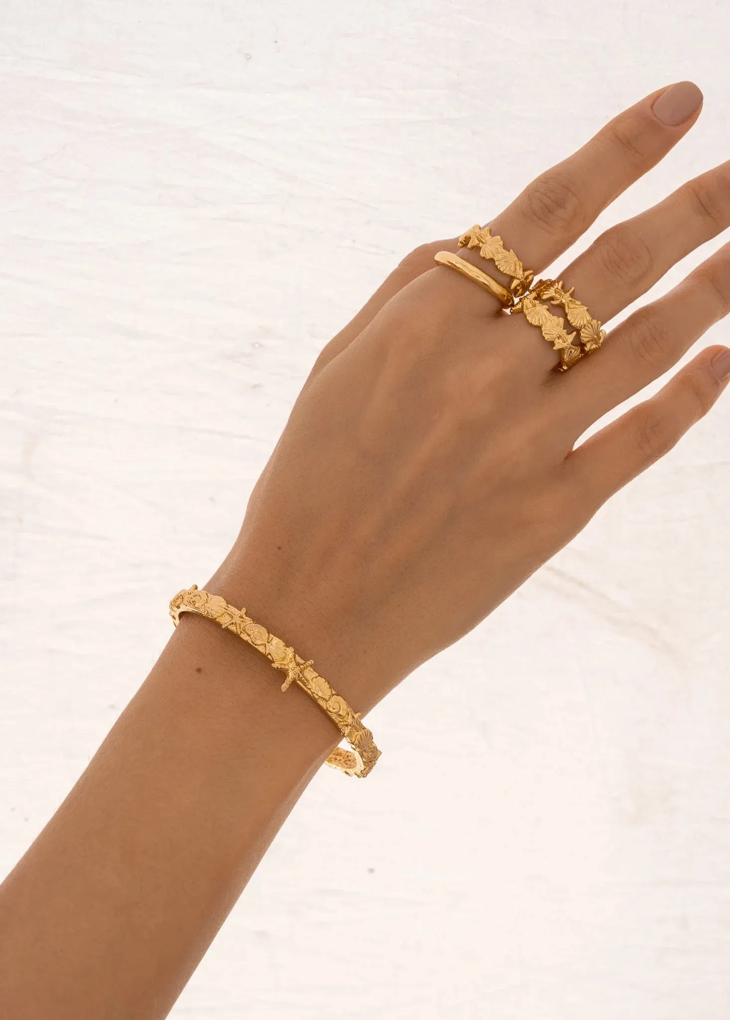 Shell Bracelet