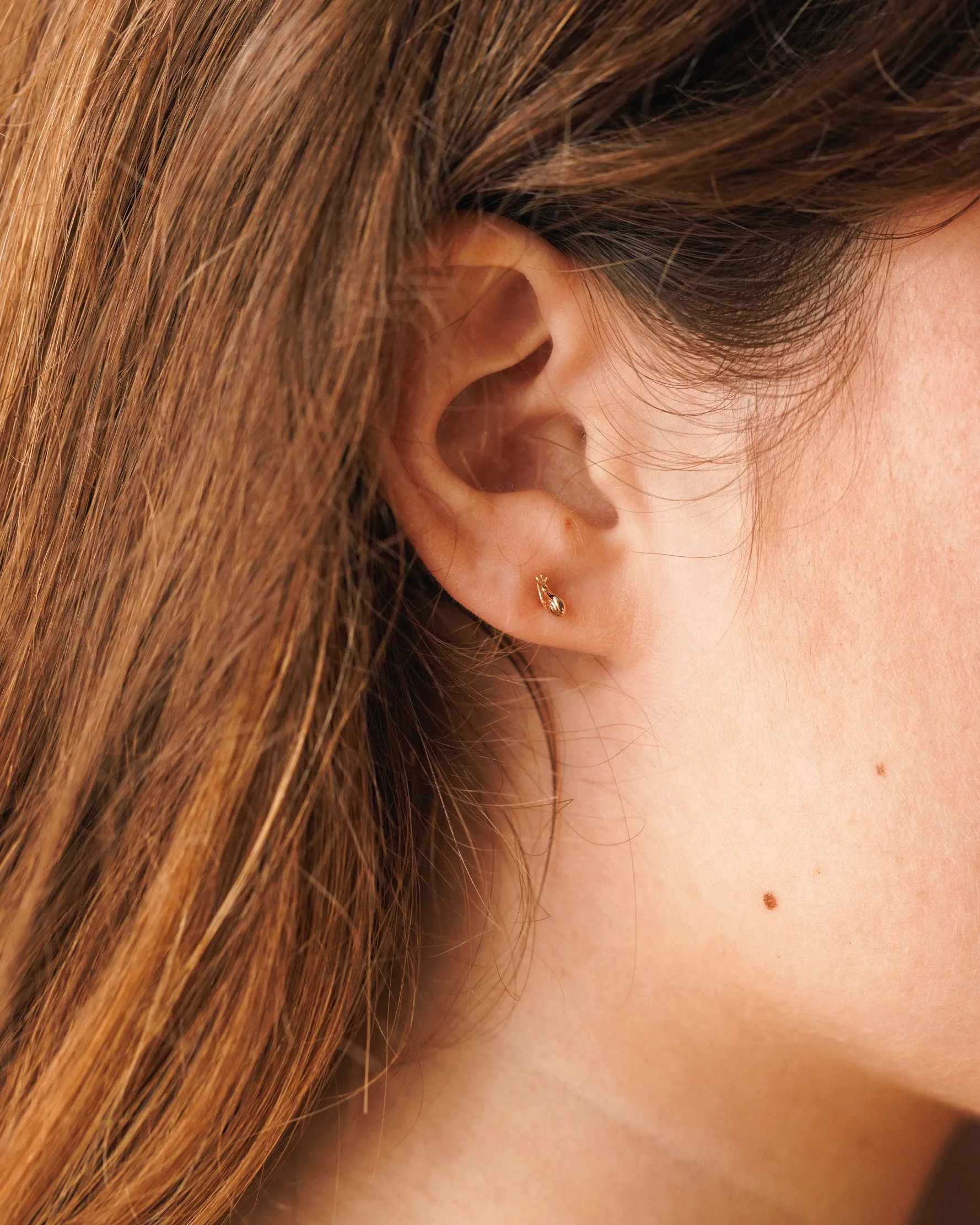Snail Studs