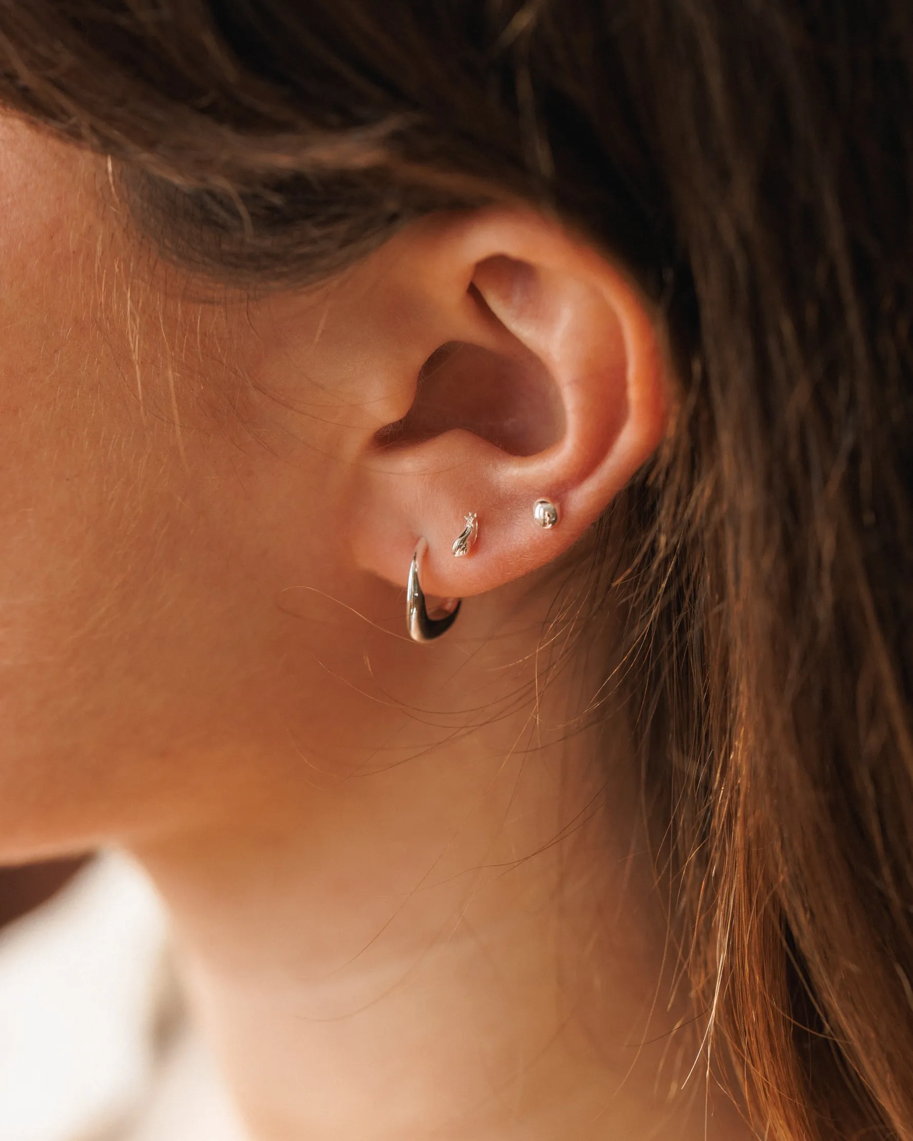 Snail Studs