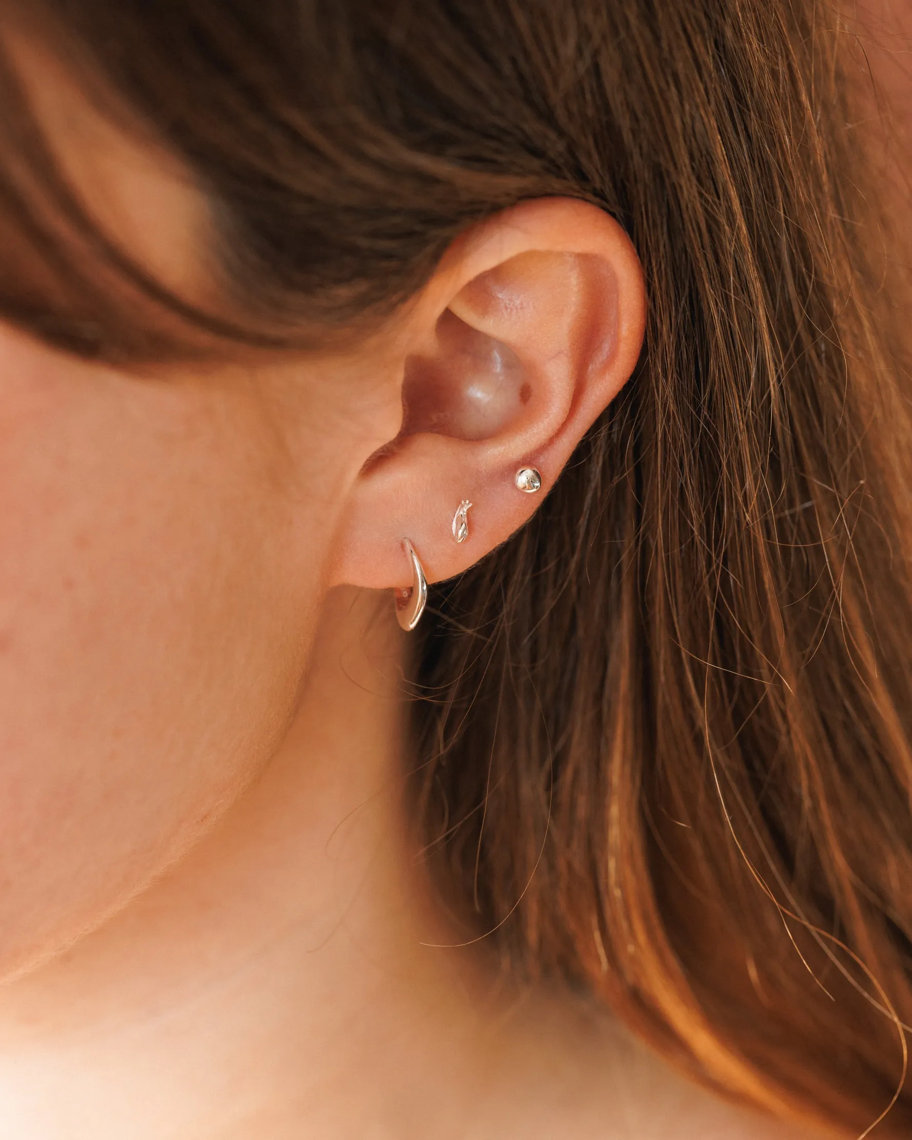Snail Studs