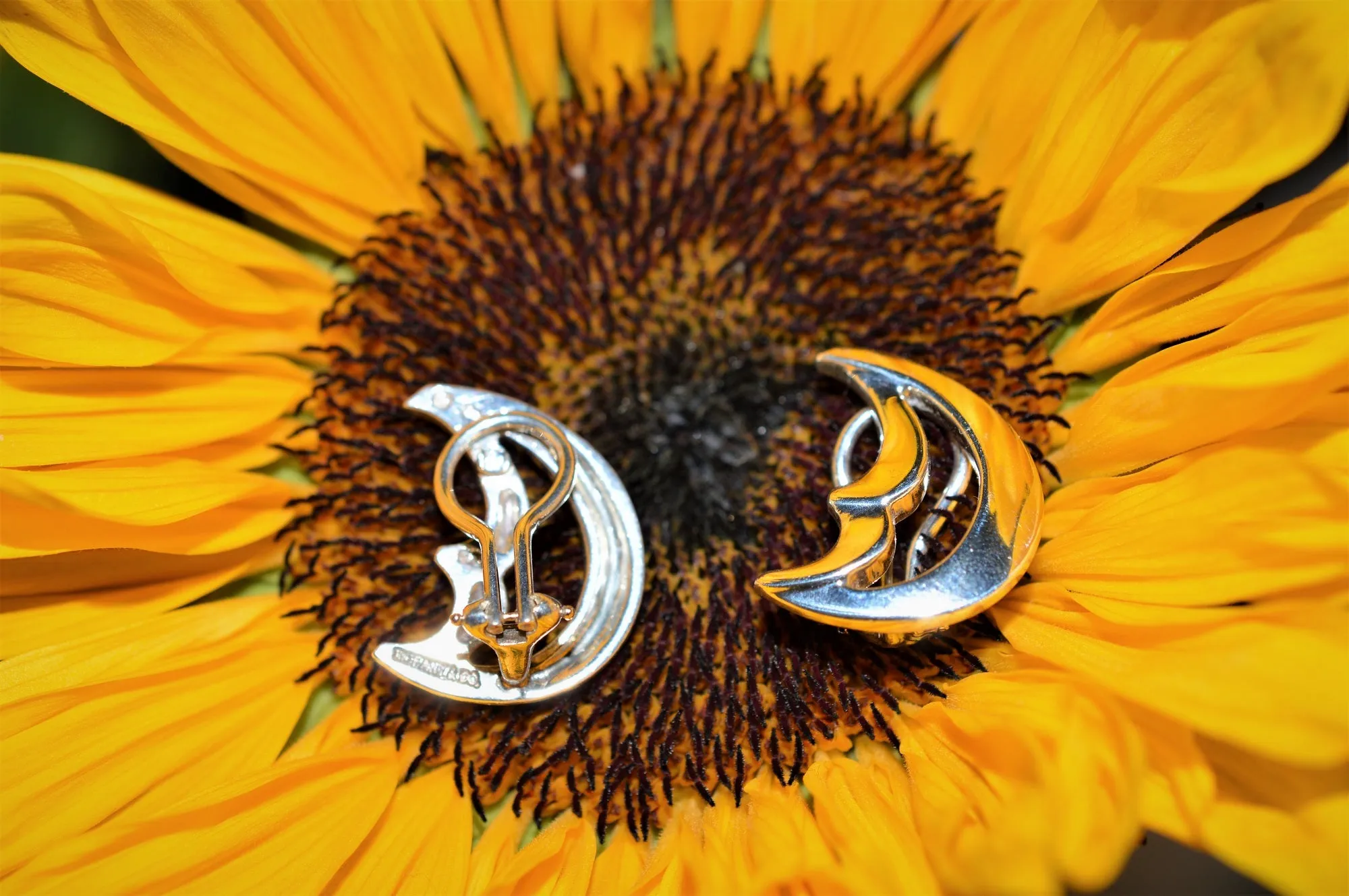 Sterling Silver Tiffany & Co. Crescent Moon Clip On Earrings