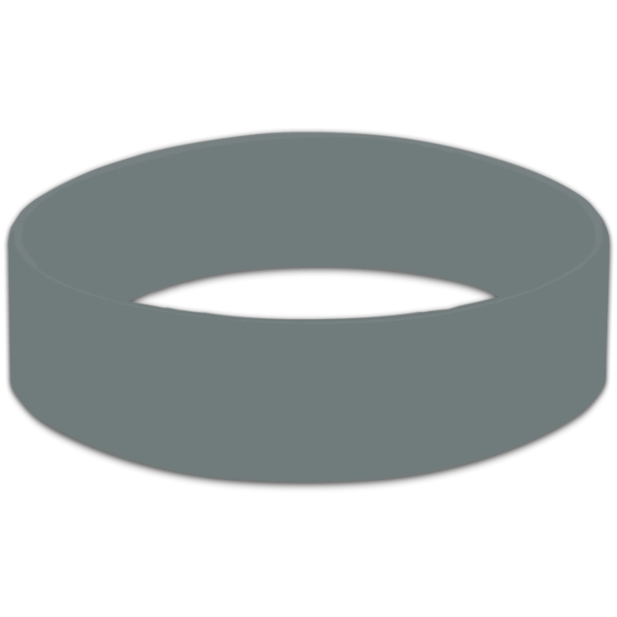 Wristbands Blank